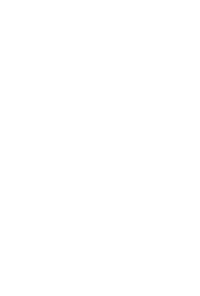 Brasão da Cruzeiro do Sul nº 204